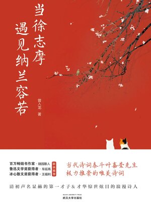 cover image of 当徐志摩遇见纳兰容若
